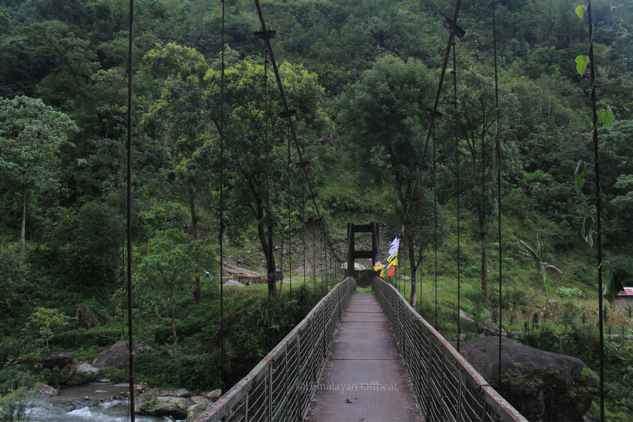 Lingtam